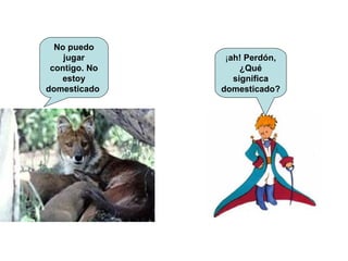 No puedo jugar contigo. No estoy domesticado  ¡ ah! Perdón, ¿Qué significa domesticado? 