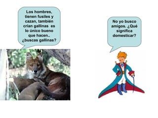 Los hombres, tienen fusiles y cazan, también crían gallinas  es lo único bueno que hacen.. ¿buscas gallinas? No yo busco amigos. ¿Qué significa domesticar? 