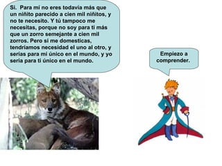 Si.  Para mí no eres todavía más que un niñito parecido a cien mil niñitos, y no te necesito. Y tú tampoco me necesitas, porque no soy para ti más que un zorro semejante a cien mil zorros. Pero si me domesticas, tendríamos necesidad el uno al otro, y serías para mi único en el mundo, y yo seria para ti único en el mundo.  Empiezo a comprender.  