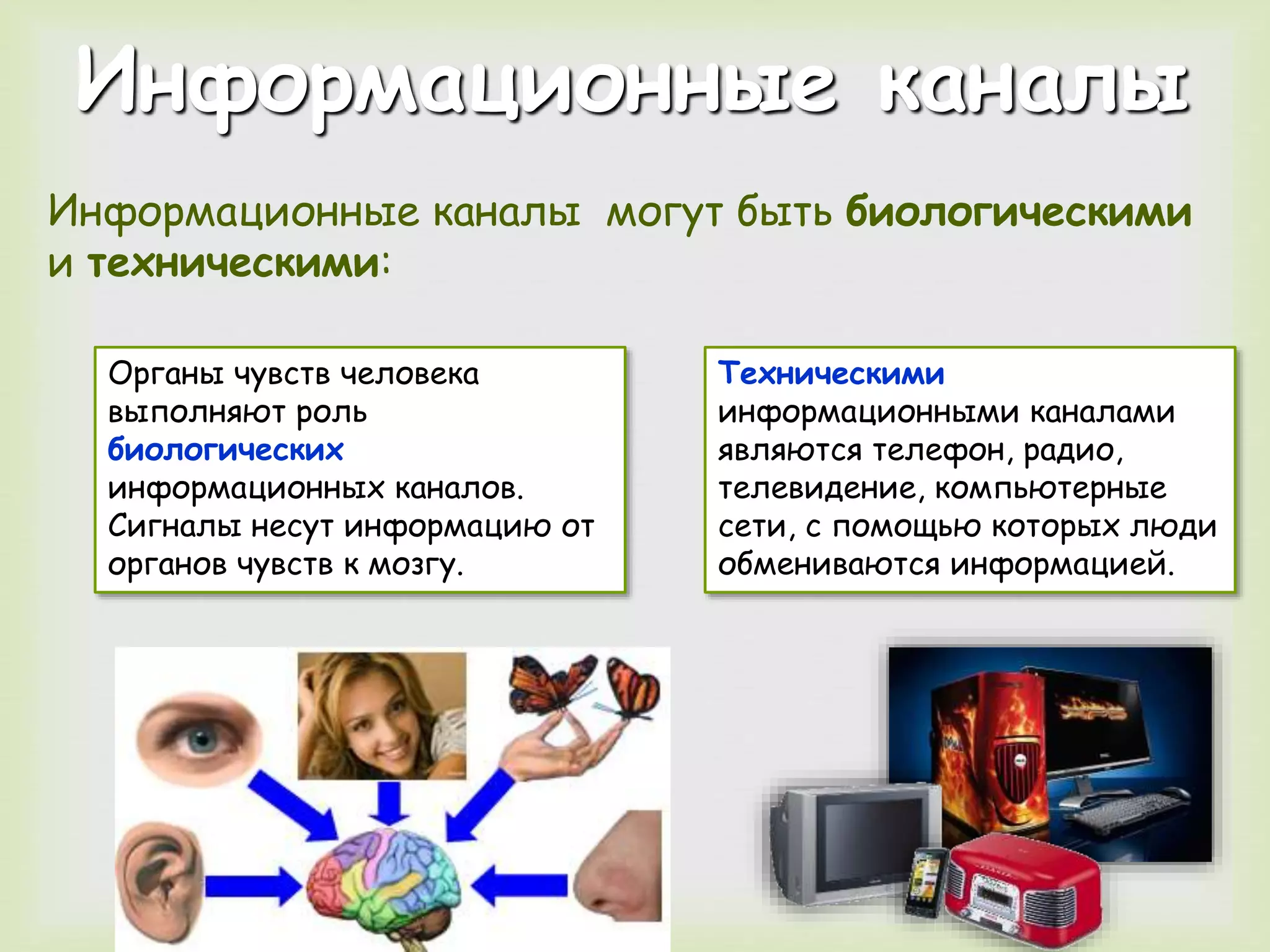 Информационные каналы 
Информационные каналы могут быть биологическими 
и техническими: 
Органы чувств человека 
выполняют роль 
биологических 
информационных каналов. 
Сигналы несут информацию от 
органов чувств к мозгу. 
Техническими 
информационными каналами 
являются телефон, радио, 
телевидение, компьютерные 
сети, с помощью которых люди 
обмениваются информацией. 
 