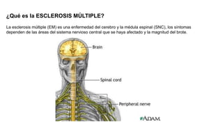 ¿Qué es la ESCLEROSIS MÚLTIPLE?
La esclerosis múltiple (EM) es una enfermedad del cerebro y la médula espinal (SNC), los síntomas
dependen de las áreas del sistema nervioso central que se haya afectado y la magnitud del brote.
 