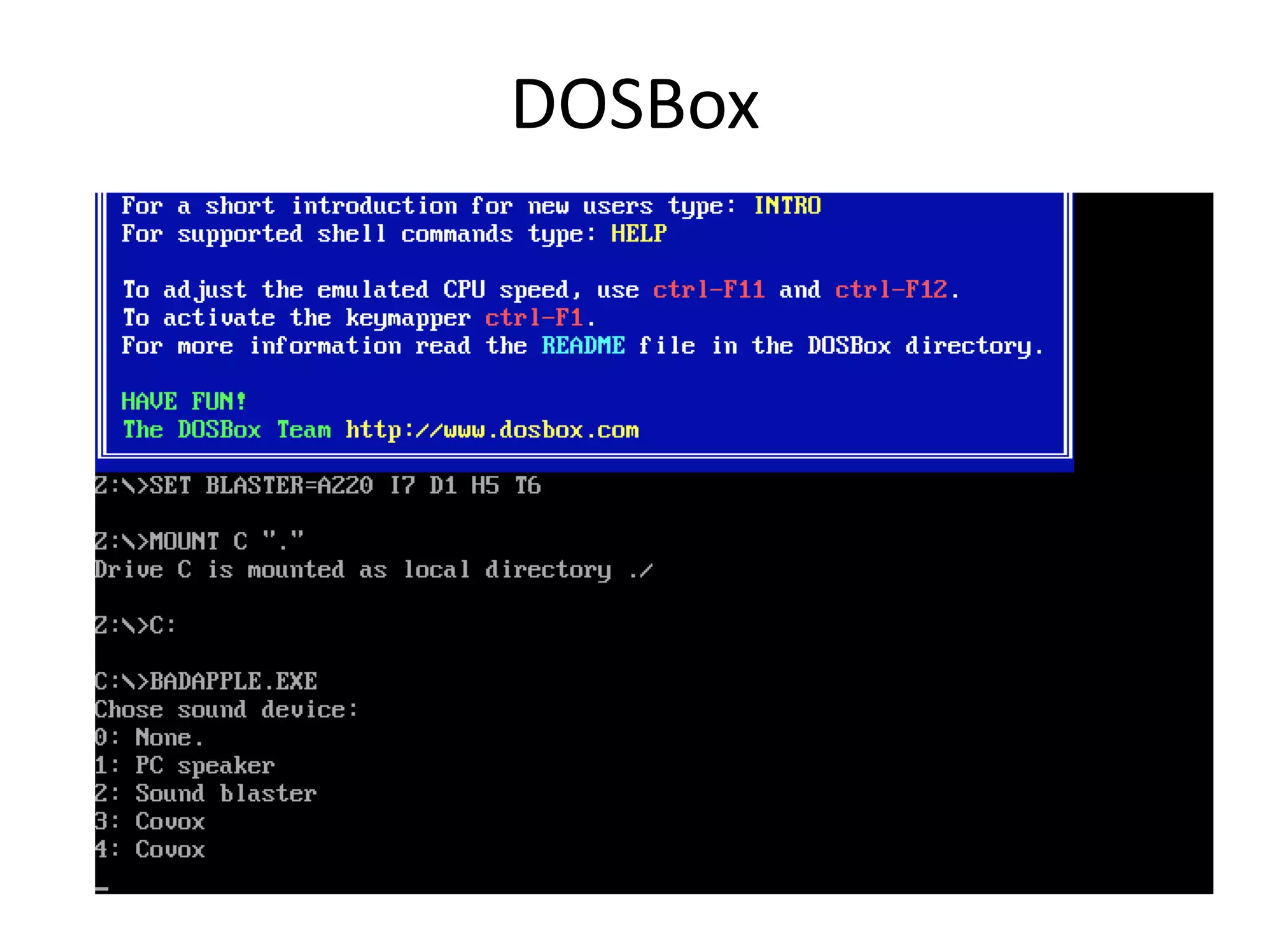 DOSBox
 