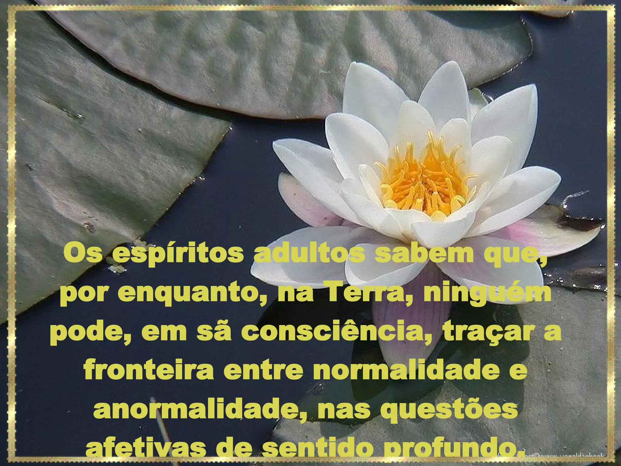 Os espíritos adultos sabem que, por enquanto, na Terra, ninguém pode, em sã consciência, traçar a fronteira entre normalidade e anormalidade, nas questões afetivas de sentido profundo. 