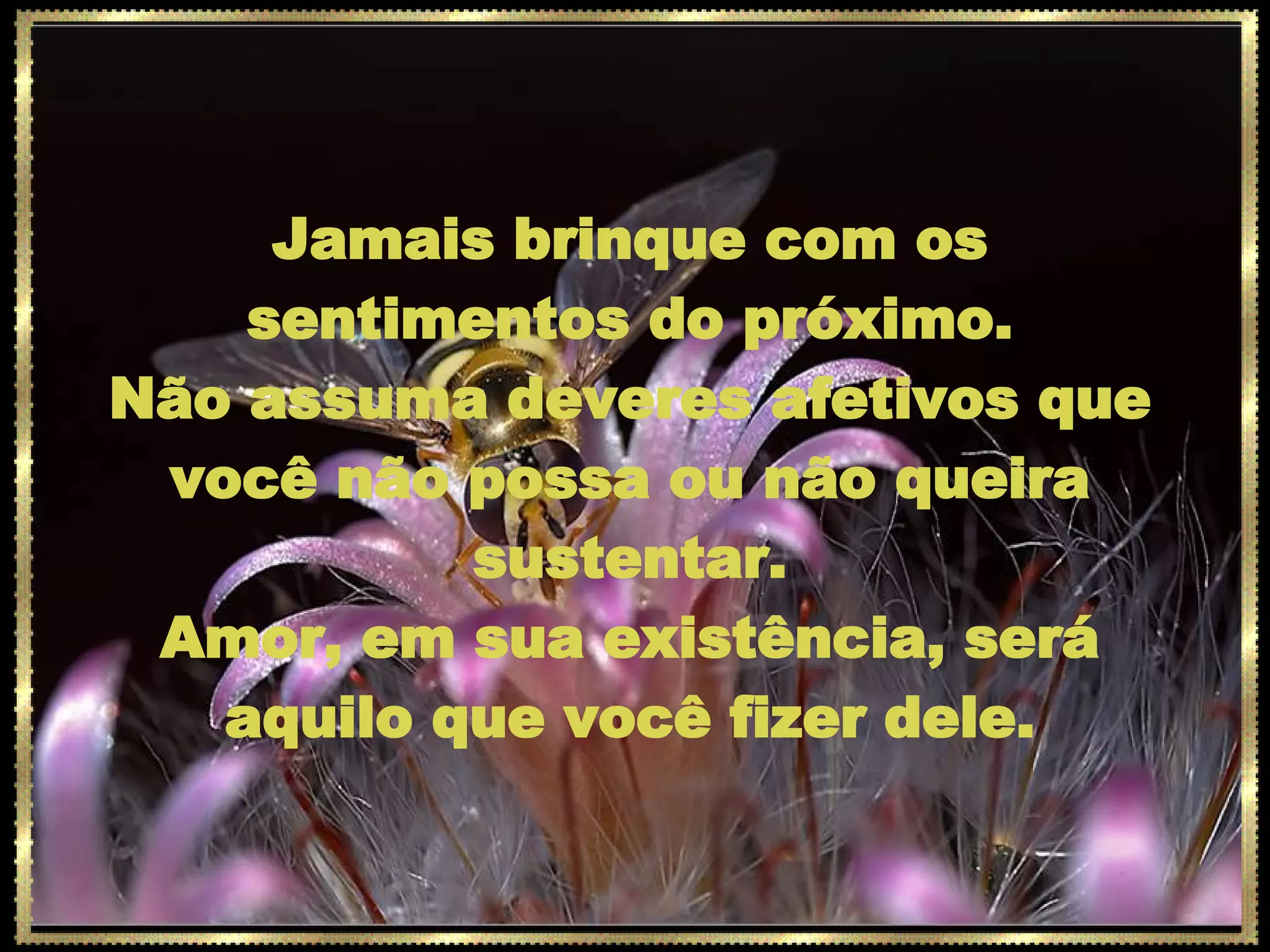 Jamais brinque com os sentimentos do próximo. Não assuma deveres afetivos que você não possa ou não queira sustentar. Amor, em sua existência, será aquilo que você fizer dele. 
