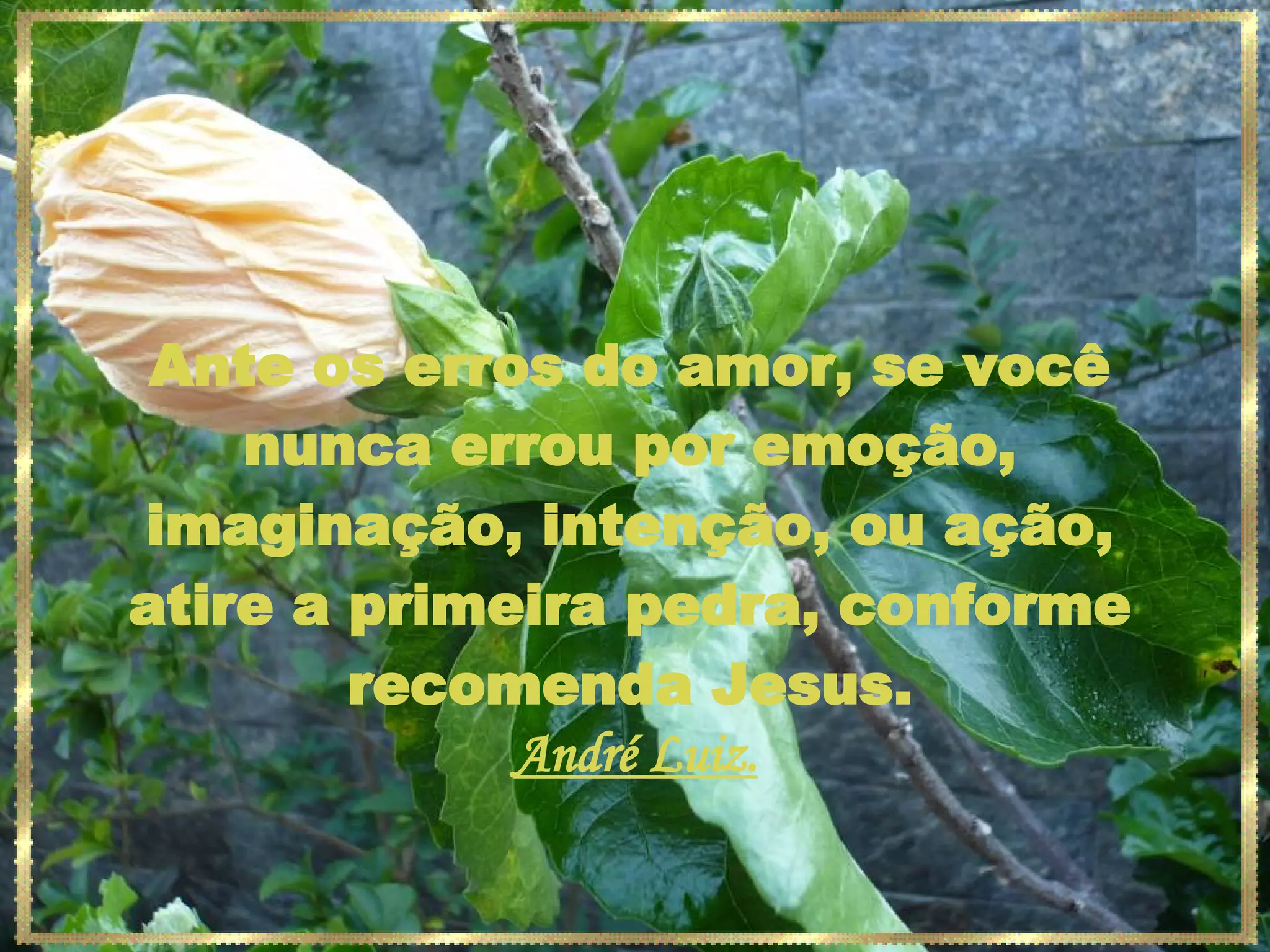 Ante os erros do amor, se você nunca errou por emoção, imaginação, intenção, ou ação, atire a primeira pedra, conforme recomenda Jesus. André Luiz. 