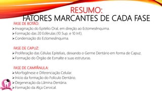 RESUMO:
FATORES MARCANTES DE CADA FASE
FASE DE BOTÃO:
Invaginação do Epitélio Oral, em direção ao Ectomesênquima.
Formação das 20 Esférulas (10 Sup. e 10 Inf.).
Condensação do Ectomesênquima.
FASE DE CAPUZ:
Proliferação das Células Epiteliais, deixando o Germe Dentário em forma de Capuz.
Formação do Órgão de Esmalte e suas estruturas.
FASE DE CAMPÂNULA:
Morfogênese e Diferenciação Celular.
Início da formação do Folículo Dentário.
Degeneração da Lâmina Dentária.
Formação da Alça Cervical.
 