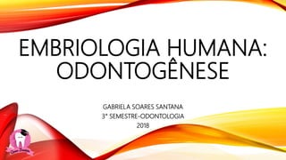 EMBRIOLOGIA HUMANA:
ODONTOGÊNESE
GABRIELA SOARES SANTANA
3° SEMESTRE-ODONTOLOGIA
2018
 