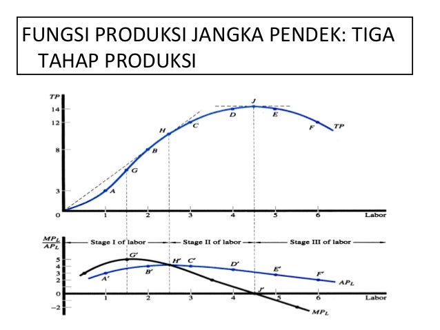 Em Safrida Teori Produksi