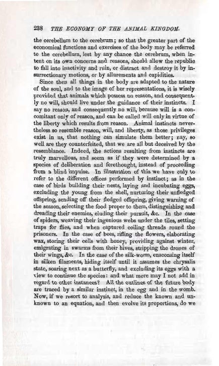 the economy of the animal kingdom considered anatomically physically and philosophically classic reprint ebook em swedenborg the economy of the animal kingdom 1740 1741 the economy of the animal kingdom considered anatomically physically and philosophically classic reprint ebook em swedenborg the economy of the animal kingdom 1740 1741