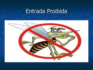 Entrada Proibida 