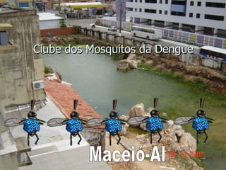 Clube dos Mosquitos da Dengue Maceió-Al 
