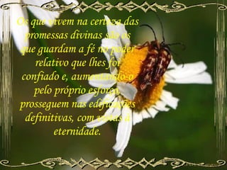 Em Ti Mesmo. Jrcordeiro.