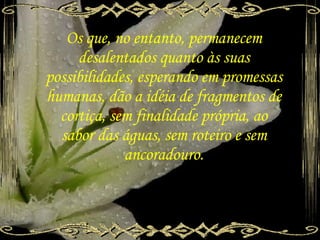 Em Ti Mesmo. Jrcordeiro.