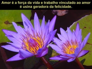 Amor é a força da vida e trabalho vinculado ao amor é usina geradora da felicidade. 