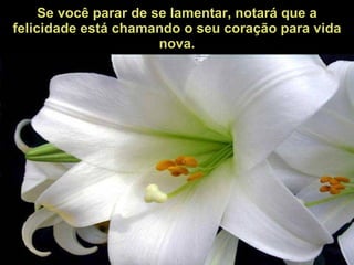 Se você parar de se lamentar, notará que a felicidade está chamando o seu coração para vida nova. 