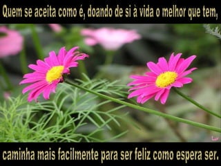 Quem se aceita como é, doando de si à vida o melhor que tem, caminha mais facilmente para ser feliz como espera ser. 