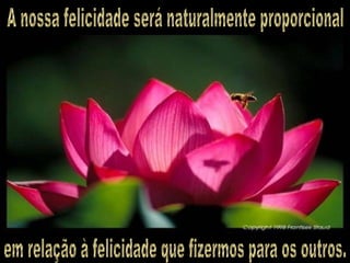 A nossa felicidade será naturalmente proporcional em relação à felicidade que fizermos para os outros. 