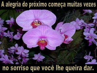 A alegria do próximo começa muitas vezes no sorriso que você lhe queira dar. 