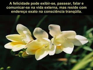 A felicidade pode exibir-se, passear, falar e comunicar-se na vida externa, mas reside com endereço exato na consciência tranqüila. 