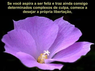 Se você aspira a ser feliz e traz ainda consigo determinados complexos de culpa, comece a desejar a própria libertação, 