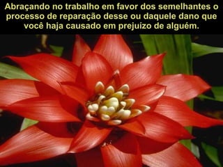 Abraçando no trabalho em favor dos semelhantes o processo de reparação desse ou daquele dano que você haja causado em prejuízo de alguém. 