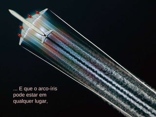 ... E que o arco-íris pode estar em qualquer lugar, 