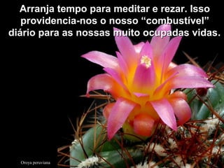 Oroya peruviana
Arranja tempo para meditar e rezar. IssoArranja tempo para meditar e rezar. Isso
providencia-nos o nosso “combustível”providencia-nos o nosso “combustível”
diário para as nossas muito ocupadas vidasdiário para as nossas muito ocupadas vidas..
 