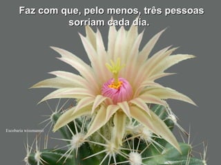 Escobaria wissmannii
Faz com que, pelo menos, três pessoasFaz com que, pelo menos, três pessoas
sorriam cada dia.sorriam cada dia.
 