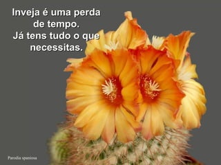 Parodia spaniosa
Inveja é uma perdaInveja é uma perda
de tempo.de tempo.
Já tens tudo o queJá tens tudo o que
necessitasnecessitas..
 