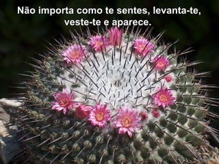 Não importa como te sentes, levanta-te,Não importa como te sentes, levanta-te,
veste-te e aparece.veste-te e aparece.
 