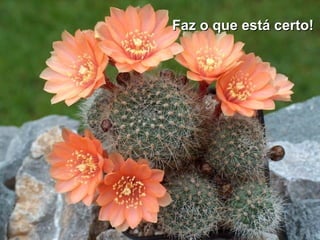 Faz o que está certo!Faz o que está certo!
 