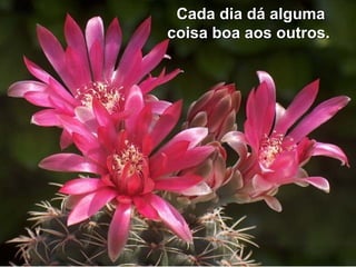 Cada dia dá algumaCada dia dá alguma
coisa boa aos outros.coisa boa aos outros.
 