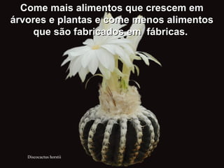 Discocactus horstii
Come mais alimentos que crescem emCome mais alimentos que crescem em
árvores e plantas e come menos alimentosárvores e plantas e come menos alimentos
que são fabricados em fábricas.que são fabricados em fábricas.
 