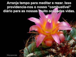 Arranja tempo para meditar e rezar. Isso
  providencia-nos o nosso “combustível”
diário para as nossas muito ocupadas vidas.




  Oroya peruviana
 