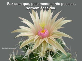 Faz com que, pelo menos, três pessoas
                sorriam cada dia.




Escobaria wissmannii
 