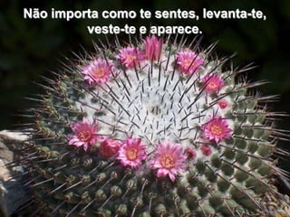 Não importa como te sentes, levanta-te,
         veste-te e aparece.
 