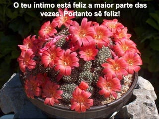 O teu íntimo está feliz a maior parte das
        vezes. Portanto sê feliz!
 