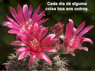 Cada dia dá alguma
coisa boa aos outros.
 
