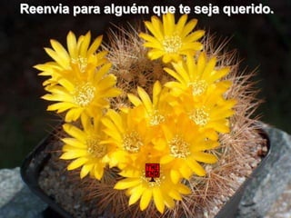 Reenvia para alguém que te seja querido.
 