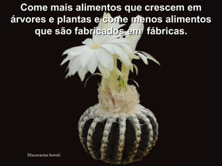 Come mais alimentos que crescem em
árvores e plantas e come menos alimentos
     que são fabricados em fábricas.




   Discocactus horstii
 