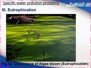 III. Eutrophication
46
EL/MC/CE 365
Specific water pollution problems
Fig A2. Occurrence of Algae bloom (Eutrophication)
GM/MN/RN 365
 