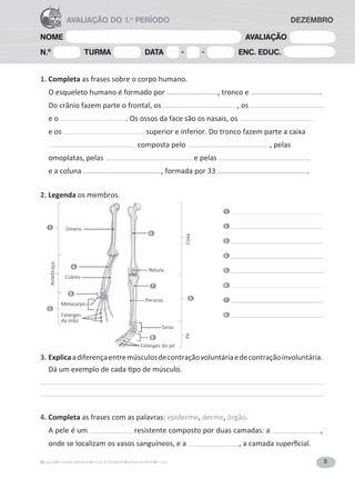 5
A Grande Aventura Fichas de Avaliação Estudo do Meio 4.° ano
NOME AVALIAÇÃO
N.º TURMA DATA - - ENC. EDUC.
AVALIAÇÃO DO 1.o
PERÍODO DEZEMBRO
1. Completa as frases sobre o corpo humano.
O esqueleto humano é formado por , tronco e .
Do crânio fazem parte o frontal, os , os
e o . Os ossos da face são os nasais, os
e os superior e inferior. Do tronco fazem parte a caixa
composta pelo , pelas
omoplatas, pelas e pelas
e a coluna ͕ĨŽƌŵĂĚĂƉŽƌϯϯ .
2. Legenda os membros.
1
2
3
4
5
6
7
8
3. Explicaadiferençaentremúsculosdecontraçãovoluntáriaedecontraçãoinvoluntária.
ĄƵŵĞǆĞŵƉůŽĚĞĐĂĚĂƟƉŽĚĞŵƷƐĐƵůŽ͘
4. Completa as frases com as palavras: epiderme, derme, órgão.
A pele é um resistente composto por duas camadas: a ,
onde se localizam os vasos sanguíneos, e a ͕ĂĐĂŵĂĚĂƐƵƉĞƌĮĐŝĂů͘
Rótula
Perónio
Tarso
Falanges do pé
Úmero
Cúbito
Metacarpo
Falanges
da mão
1
Antebraço
2
4
5
6
7
8
3
Coxa
Pé
 