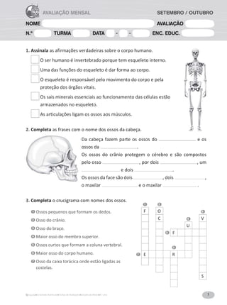 1A Grande Aventura Fichas de Avaliação Estudo do Meio 4.° ano
NOME AVALIAÇÃO
N.º TURMA DATA - - ENC. EDUC.
AVALIAÇÃO MENSALAVALIAÇÃO MENSAL SETEMBRO / OUTUBRO
1. Assinala as afirmações verdadeiras sobre o corpo humano.
O ser humano é invertebrado porque tem esqueleto interno.
Uma das funções do esqueleto é dar forma ao corpo.
O esqueleto é responsável pelo movimento do corpo e pela
proteção dos órgãos vitais.
Os sais minerais essenciais ao funcionamento das células estão
armazenados no esqueleto.
As articulações ligam os ossos aos músculos.
2. Completa as frases com o nome dos ossos da cabeça.
Da cabeça fazem parte os ossos do e os
ossos da .
Os ossos do crânio protegem o cérebro e são compostos
pelo osso , por dois , um
e dois .
Os ossos da face são dois , dois ,
o maxilar e o maxilar .
3. Completa o crucigrama com nomes dos ossos.
1 Ossos pequenos que formam os dedos.
2 Osso do crânio.
3 Osso do braço.
4 Maior osso do membro superior.
5 Ossos curtos que formam a coluna vertebral.
6 Maior osso do corpo humano.
7 Osso da caixa torácica onde estão ligadas as
costelas.
1 2
F O 5
O C 4 V
M C U E
B I 6 F E M U R
A P E V
R I 3 R I
7 E S T E R N O C
S A A A
L D I
I S
L I A C O
 