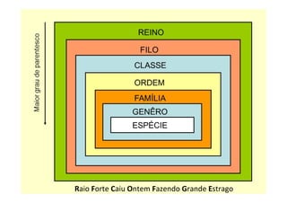 CLASSIFICAÇÃO	
  DOS	
  
SERES	
  VIVOS	
  
	
  
Raio	
  Forte	
  Caiu	
  Ontem	
  Fazendo	
  Grande	
  Estrago	
  Raio	
  Forte	
  Caiu	
  Ontem	
  Fazendo	
  Grande	
  Estrago	
  
 