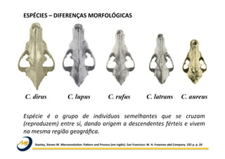 ESPÉCIES	
  –	
  DIFERENÇAS	
  MORFOLÓGICAS	
  
Stanley,	
  Steven	
  M.	
  Macroevolu5on:	
  Paiern	
  and	
  Process	
  (em	
  inglês).	
  San	
  Francisco:	
  W.	
  H.	
  Freeman	
  abd	
  Company.	
  332	
  p.	
  p.	
  20	
  
Espécie	
   é	
   o	
   grupo	
   de	
   indivíduos	
   semelhantes	
   que	
   se	
   cruzam	
  
(reproduzem)	
  entre	
  si,	
  dando	
  origem	
  a	
  descendentes	
  férteis	
  e	
  vivem	
  
na	
  mesma	
  região	
  geográﬁca.	
  
 