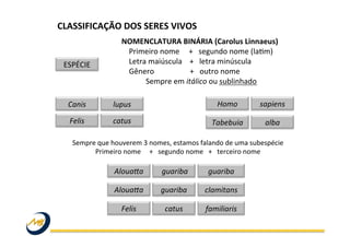 CLASSIFICAÇÃO	
  DOS	
  SERES	
  VIVOS	
  
lupus	
  
	
  	
  	
  	
  NOMENCLATURA	
  BINÁRIA	
  (Carolus	
  Linnaeus)	
  	
  	
  	
  	
  	
  	
  	
  	
  	
  	
  	
  	
  	
  	
  	
  	
  	
  	
  	
  	
  	
  	
  
	
  Primeiro	
  nome	
  	
  	
  	
  	
  +	
  	
  	
  segundo	
  nome	
  (laWm)	
  
	
  	
   	
  Letra	
  maiúscula	
  	
  	
  	
  +	
  	
  	
  letra	
  minúscula	
  
	
  Gênero	
  	
  	
  	
  	
  	
  	
  	
  	
  	
  	
  	
  	
  	
  	
  	
  	
  	
  	
  +	
  	
  	
  outro	
  nome	
  
	
  	
  	
   	
   	
  	
  Sempre	
  em	
  itálico	
  ou	
  sublinhado	
  	
  
Canis	
  
ESPÉCIE	
  
catus	
  Felis	
  
sapiens	
  Homo	
  
alba	
  Tabebuia	
  
Sempre	
  que	
  houverem	
  3	
  nomes,	
  estamos	
  falando	
  de	
  uma	
  subespécie	
  	
  	
  	
  	
  	
  	
  
Primeiro	
  nome	
  	
  	
  	
  	
  +	
  	
  	
  segundo	
  nome	
  	
  	
  +	
  	
  	
  terceiro	
  nome	
  
	
  guariba	
  AlouaKa	
   guariba	
  
guariba	
  AlouaKa	
   clamitans	
  
catus	
  Felis	
   familiaris	
  
 