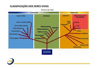 CLASSIFICAÇÃO	
  DOS	
  SERES	
  VIVOS	
  
Árvore	
  da	
  Vida	
  
 