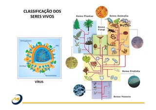 CLASSIFICAÇÃO	
  DOS	
  
SERES	
  VIVOS	
  
	
  
VÍRUS	
  
 