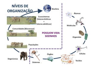 A	
  ECOLOGIA	
  
	
  
POSSUEM	
  VIDA	
  
SOZINHOS	
  
 