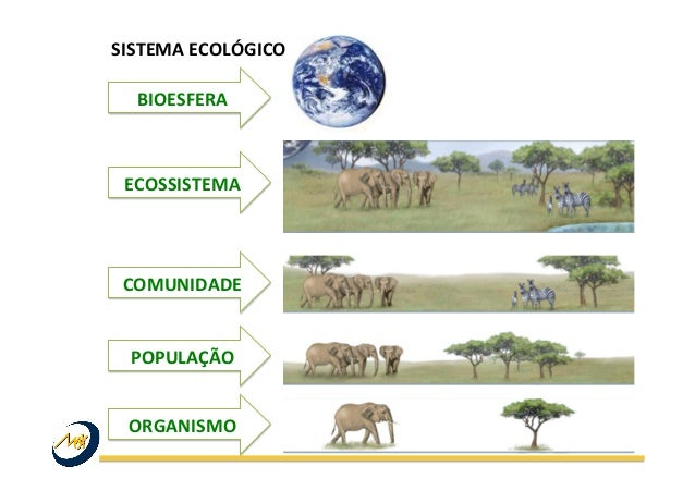 Diferencie Os Conceitos Ecologicos De População E Comunidade 1 Exemplo